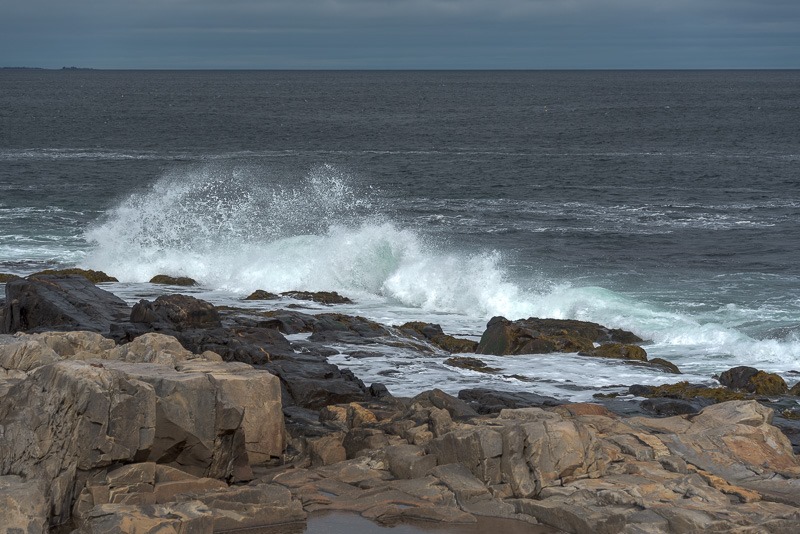 On the rocks at Western Head