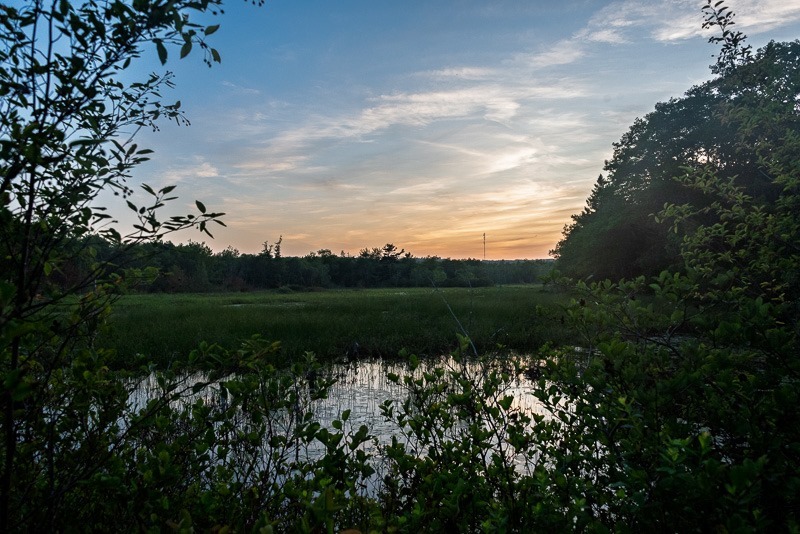 20250623-DSC_3669